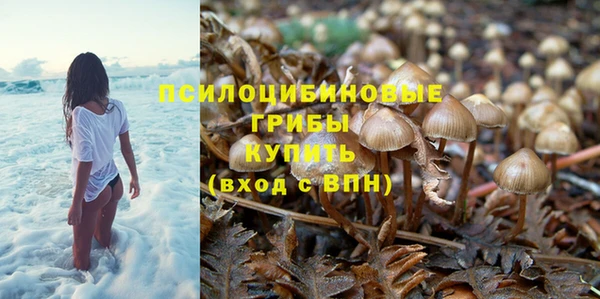 спиды Надым