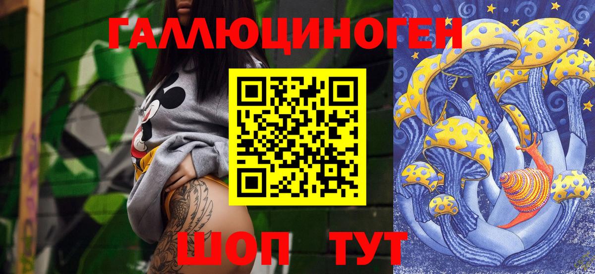 Псилоцибиновые грибы Psilocybine cubensis Североуральск