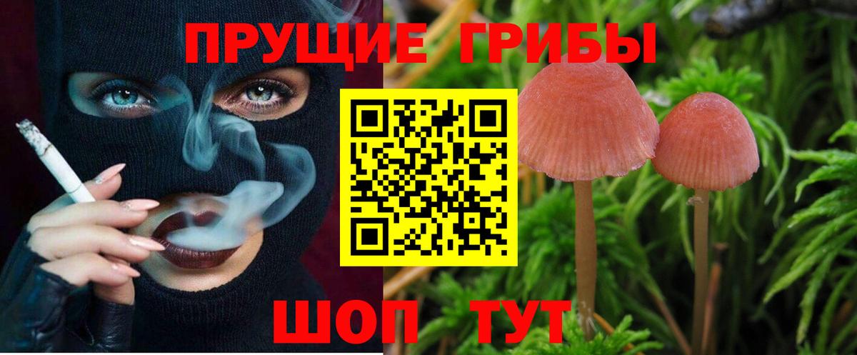 Галлюциногенные грибы Psilocybine cubensis  Вход с VPN  Североуральск  Псилоцибиновые грибы мицелий 